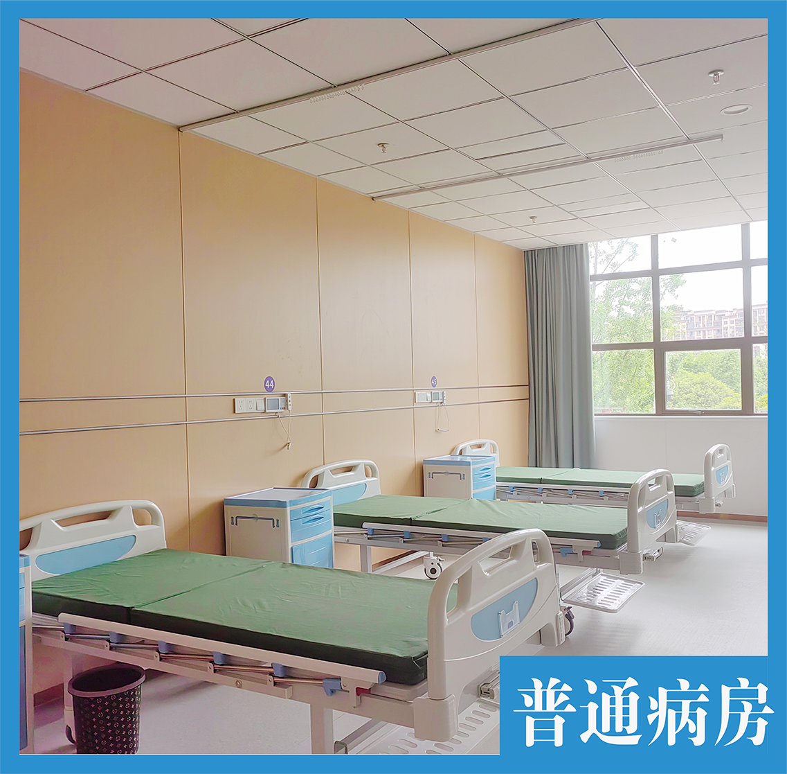普通病房 普通病房